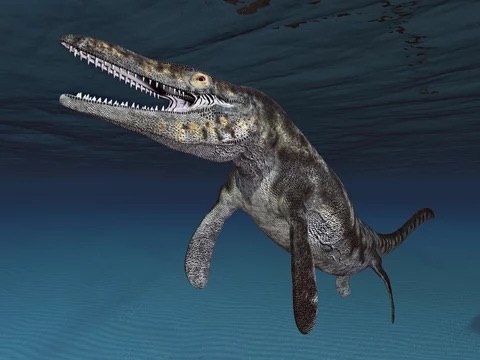 ティロサウルスとは?白亜紀の海を統べた巨大海棲ハンターの特徴・生態・狩りを徹底解説