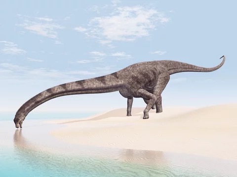 プエルタサウルスが水を飲んでいる